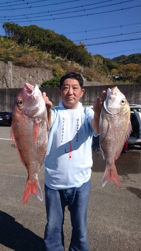 マダイの釣果