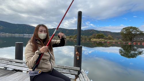 ワカサギの釣果