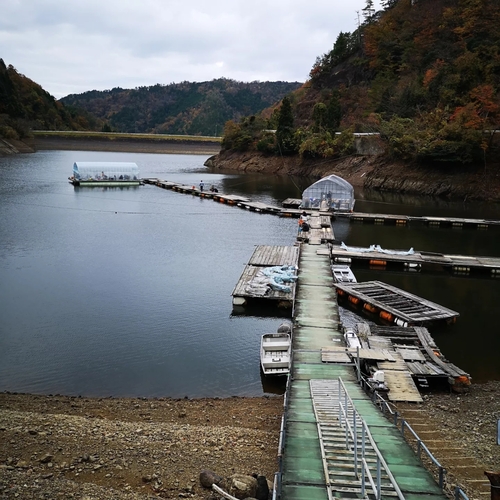 ワカサギの釣果