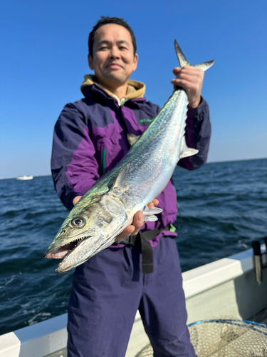 サワラの釣果