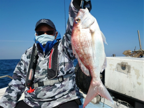 マダイの釣果