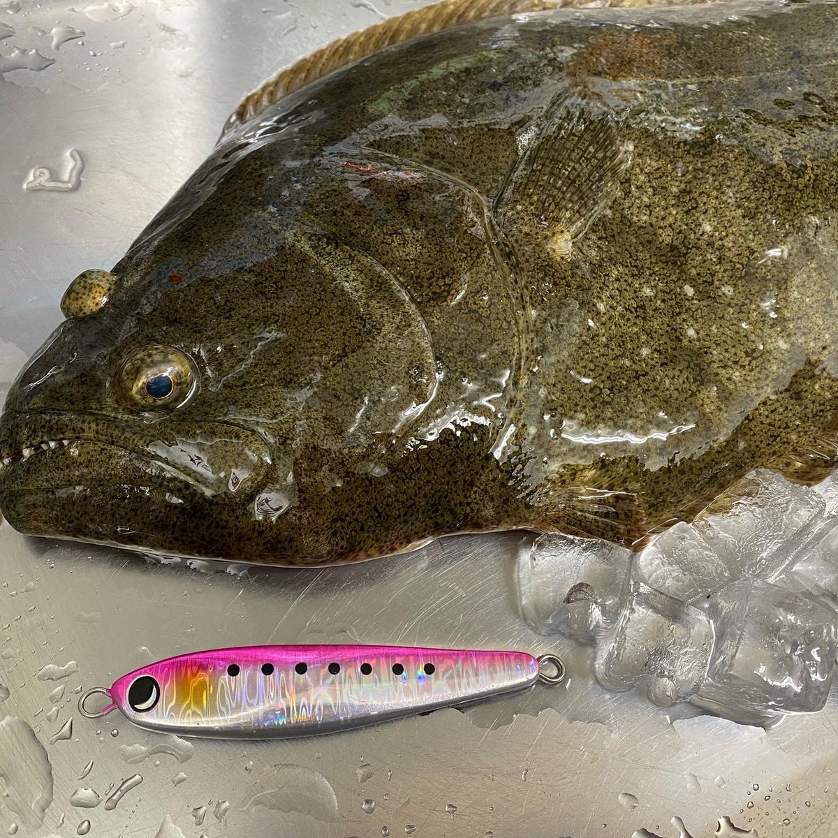 たーちん🐟さんの釣果 2枚目の画像