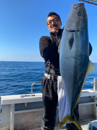 ブリの釣果