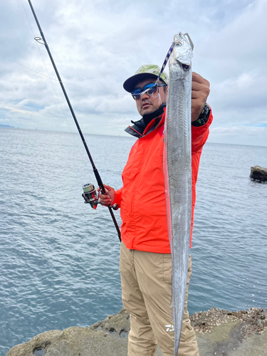 タチウオの釣果