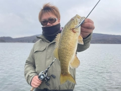 スモールマウスバスの釣果