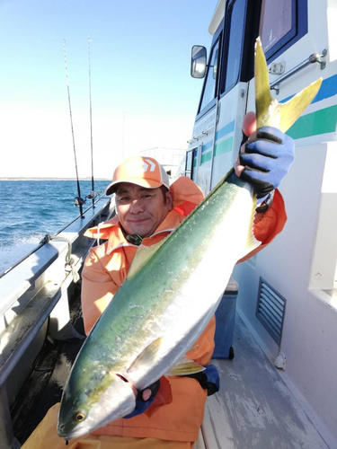 ワラサの釣果