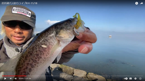 ブラックバスの釣果