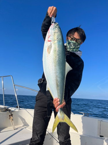 ハマチの釣果