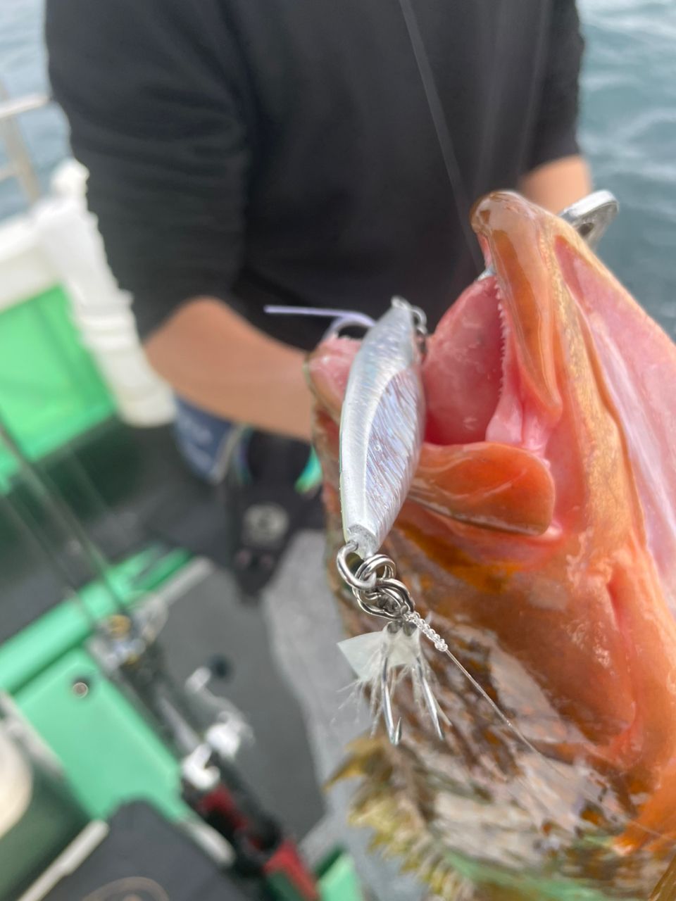 ポケ船長さんの釣果 3枚目の画像