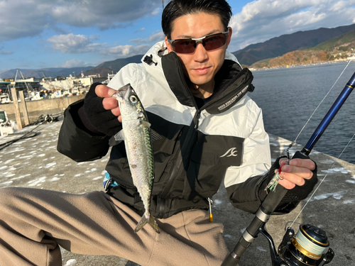 サバの釣果