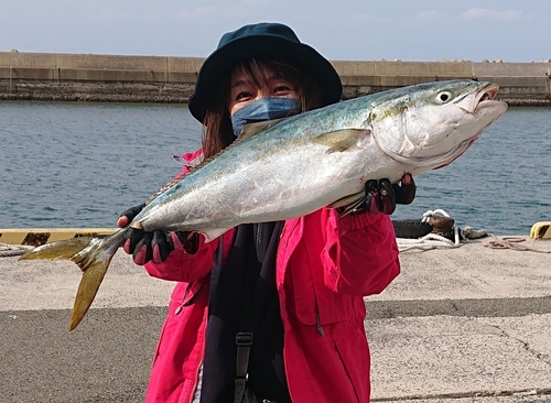 ブリの釣果