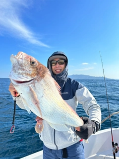 マダイの釣果