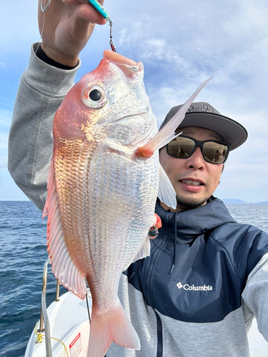 レンコダイの釣果