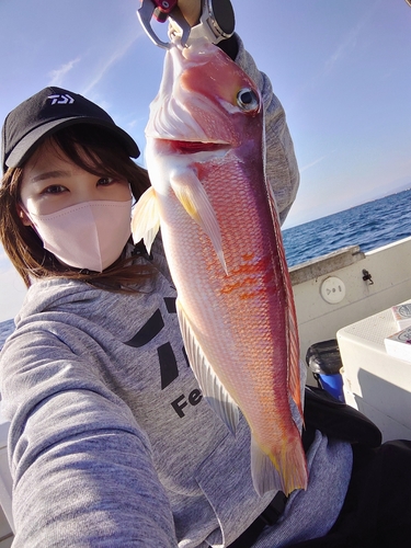 アマダイの釣果