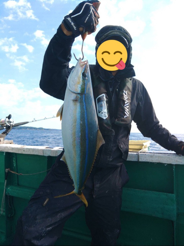 ツムブリの釣果