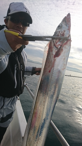 タチウオの釣果