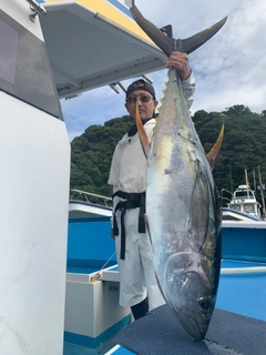 キハダマグロの釣果