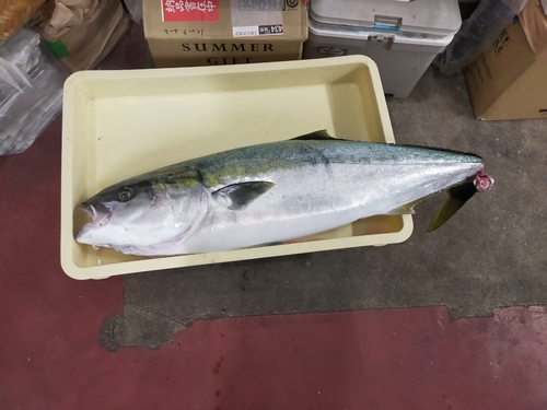 釣果