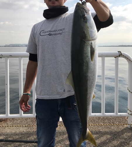 メジロの釣果