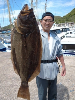 ヒラメの釣果