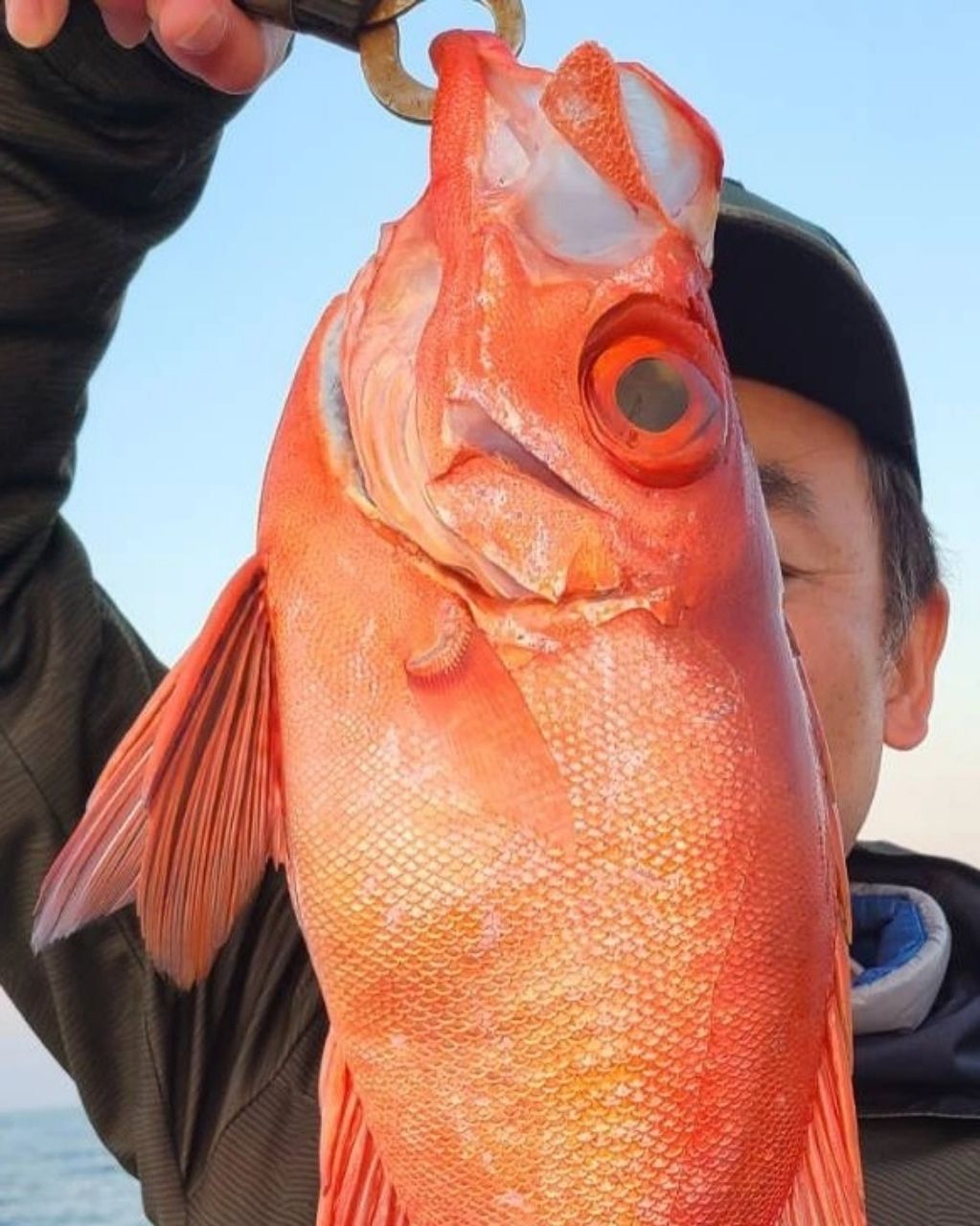 otomoyanさんの釣果 3枚目の画像