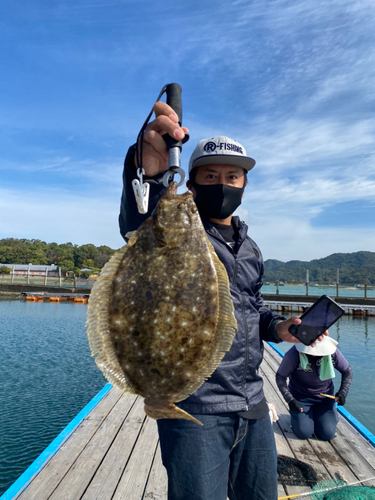 ヒラメの釣果