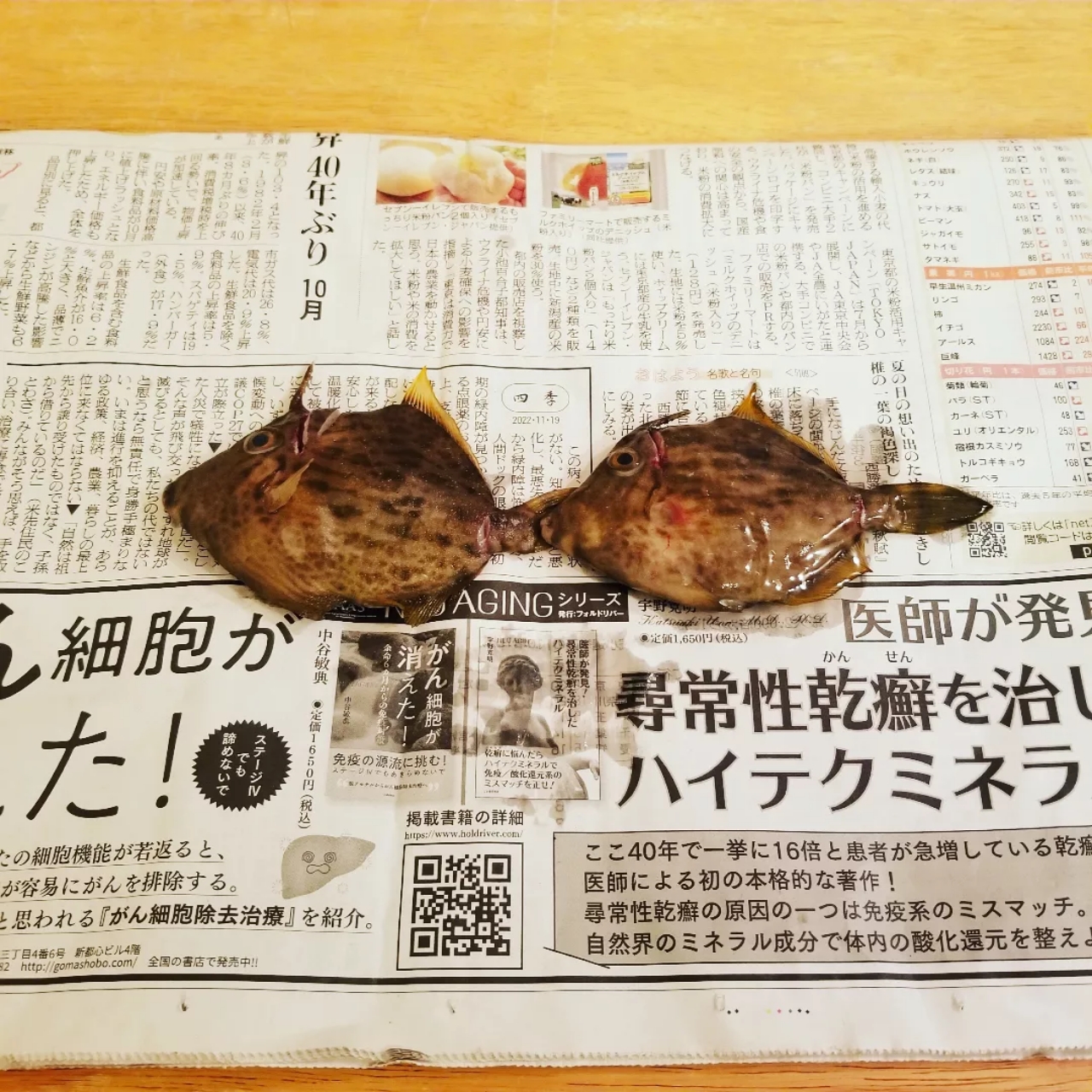 カワハギ