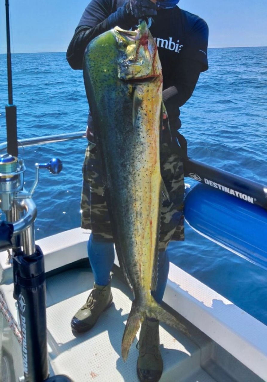 TENRYU スパイク SK772S-Mの最安値・インプレ・釣果 | 本音の口コミが