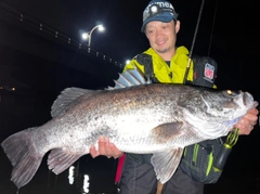 アカメの釣果