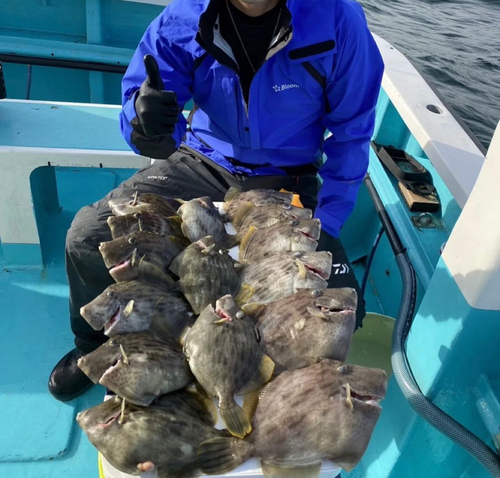 ニジマスの釣果