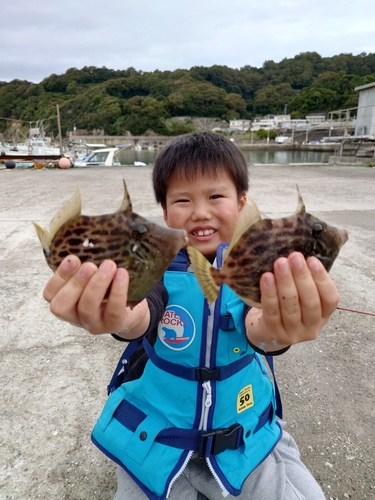 カワハギの釣果