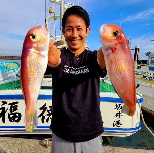 アマダイの釣果