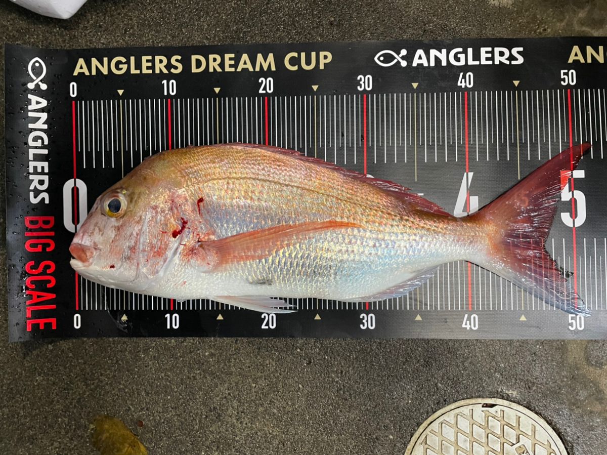 タイタクさんの釣果 2枚目の画像