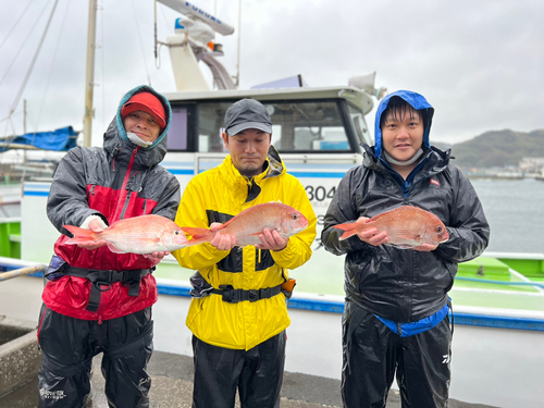 マダイの釣果