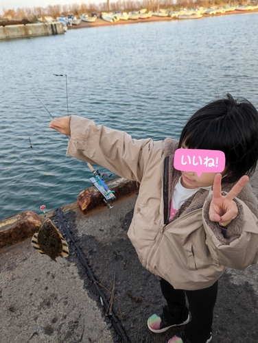 カレイの釣果