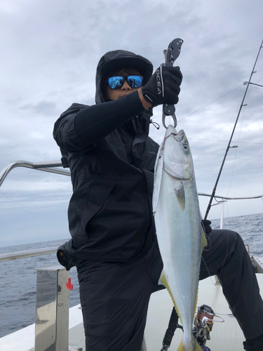 メジロの釣果