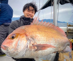 マダイの釣果