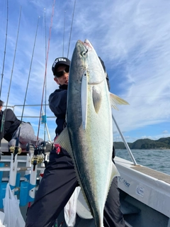 ブリの釣果