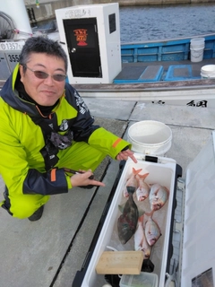 マダイの釣果