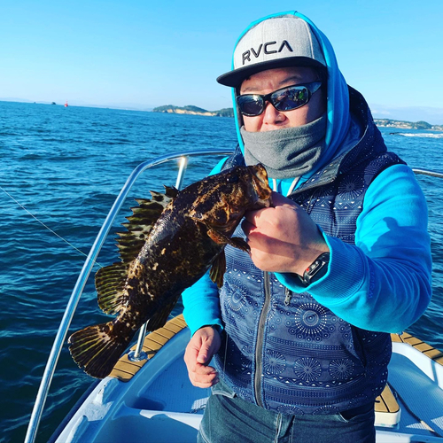 タケノコメバルの釣果