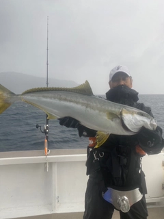 スマガツオの釣果