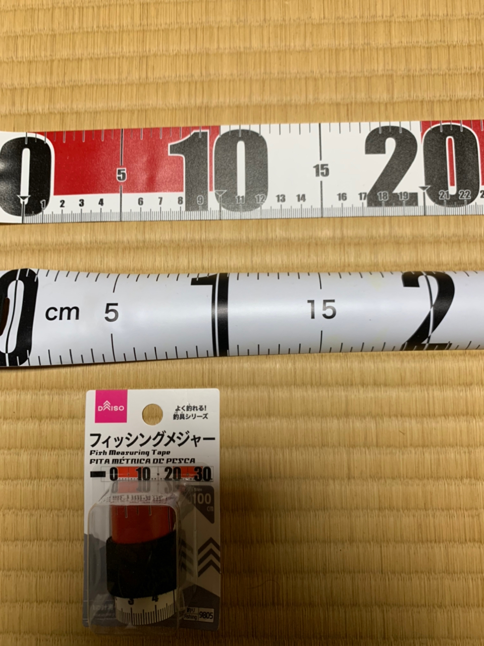 ダイソーさん さんの 2022年11月24日のベラの釣り・釣果情報(富山県