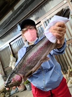 ニジマスの釣果