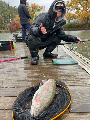 トラウトの釣果