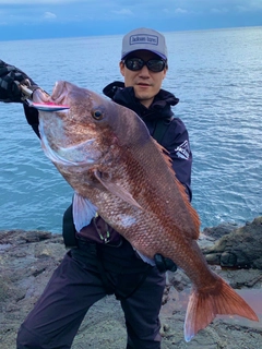 タイの釣果