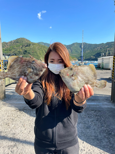 カワハギの釣果