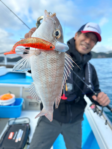 ハマフエフキの釣果