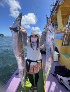 タチウオの釣果