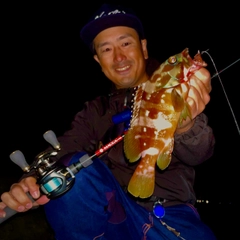 アカハタの釣果