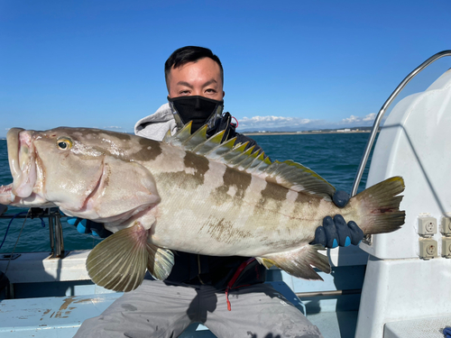 クエの釣果